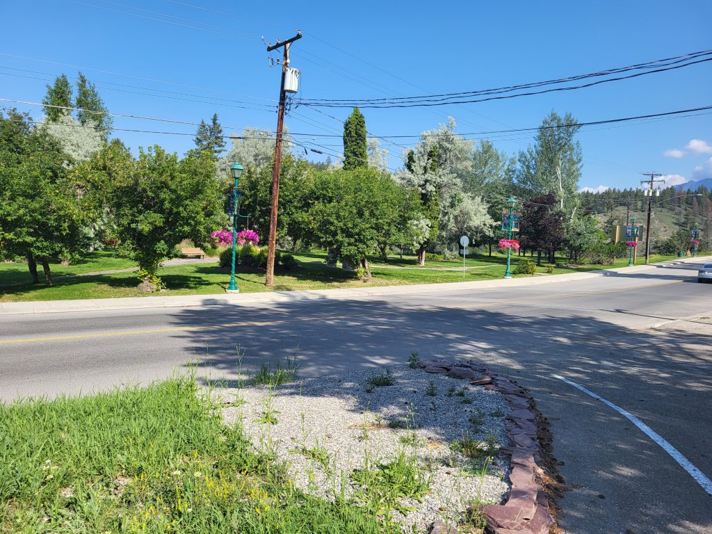 A sunny street view of an empty road lined with green trees and bushes and a telephone pole.