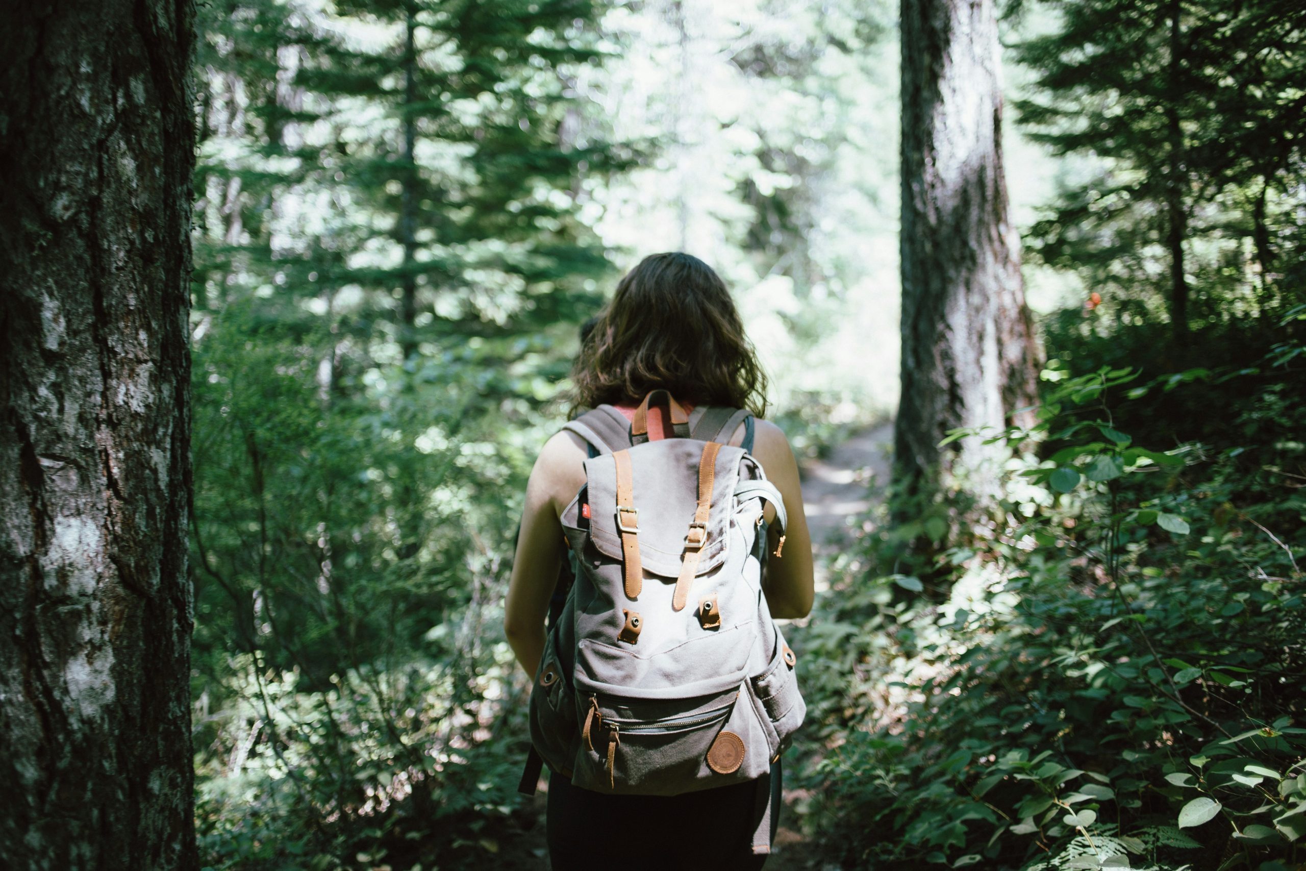 Woman with her back to camera hiking through a forest of trees casting shadows.